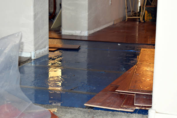Professional Emergency Water Damage Restoration technician working in Manson, WA